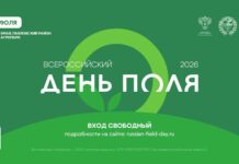 «Всероссийский день поля – 2026» представит передовые достижения российского АПК