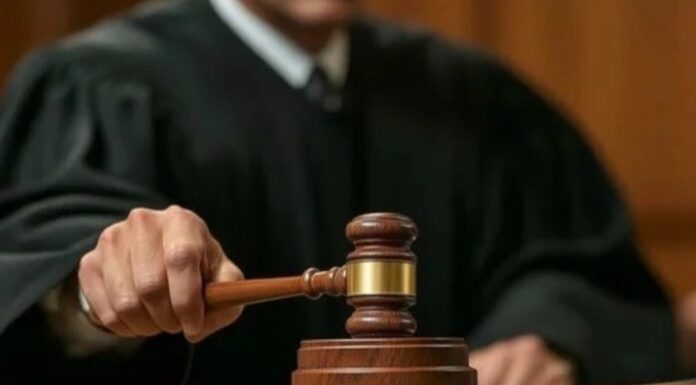 Первого в России осужденного по новой статье о наркотиках оштрафовали